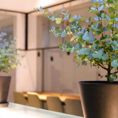 Szálloda Bee Self-check-in-hotel Linz