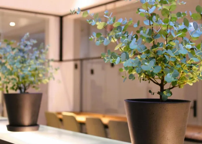 מלון Bee Self-check-in-hotel לינץ